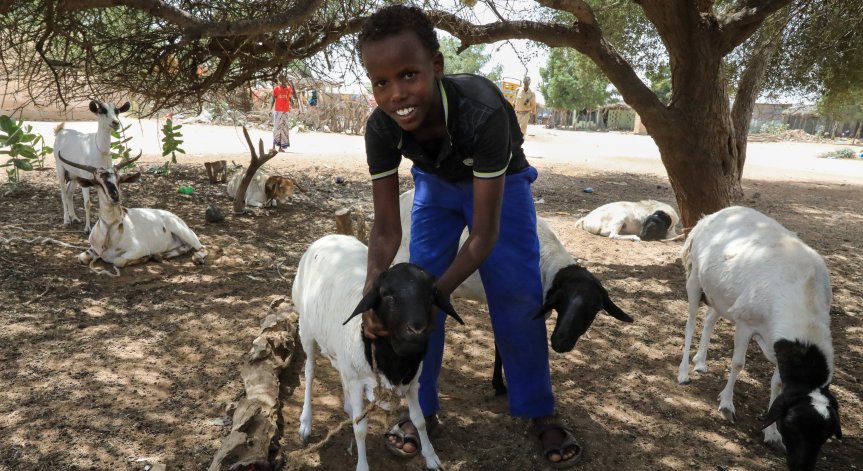 Сушата убива хората в Етиопия, Еритрея, Сомалия, Джибути, Кения и Судан