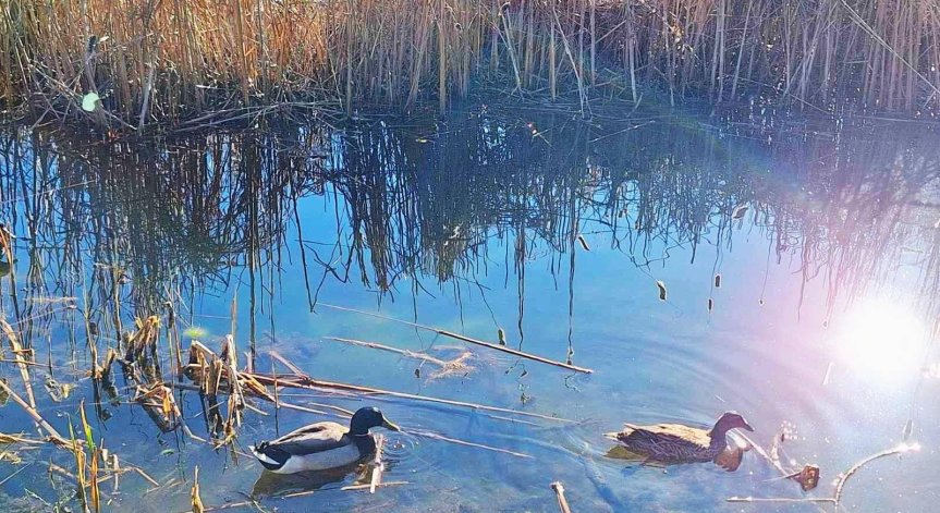 Най-видимата част от възстановяването ще започне, след като бъде одобрен бюджетът на София.