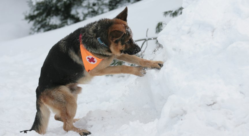 При инцидент в планината - как да изпратите локацията си до ПСС?
