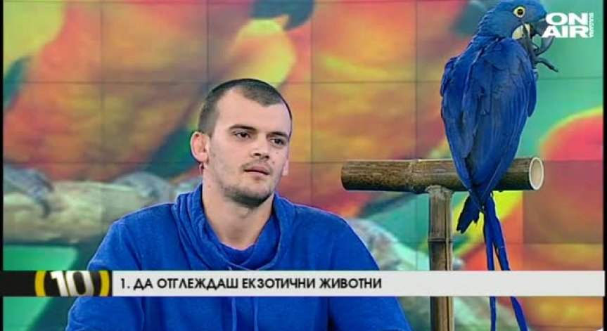 Десет начина да внесем екзотика в живота си