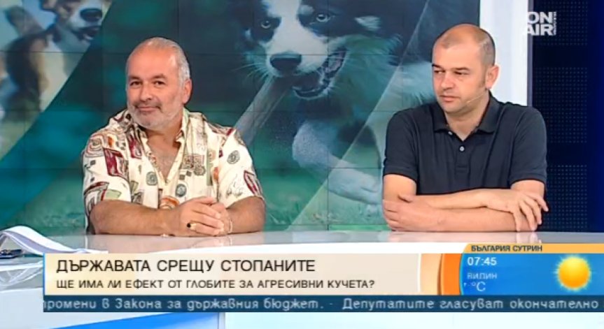 Размерът на кучето не бил критерий за агресивността му, всичко зависело от собственика