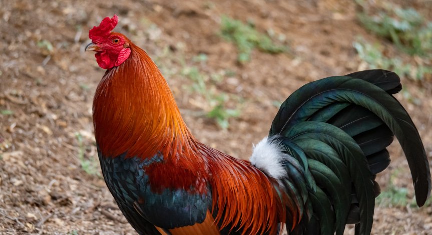 Всички в кооперациите наоколо сме настръхнали, пише в сигнала.