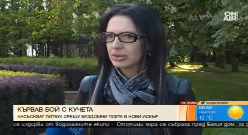 В Нови Искър насъскват питомни кучета срещу бездомни