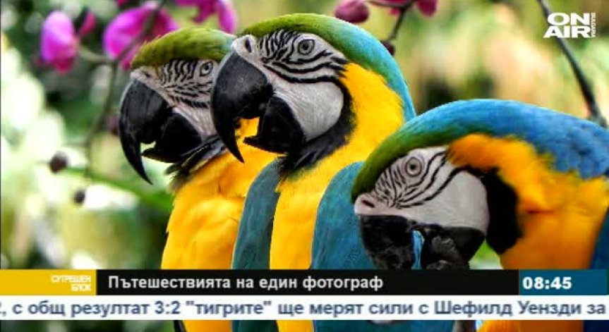 Пътешествията на един фотограф