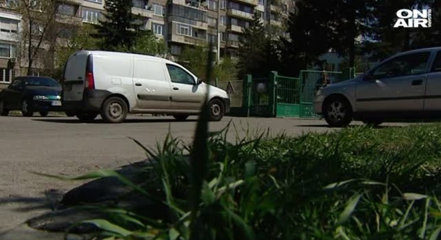 Дръвчета в 