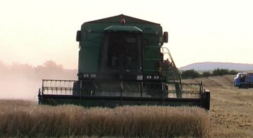 Снимка: Архив