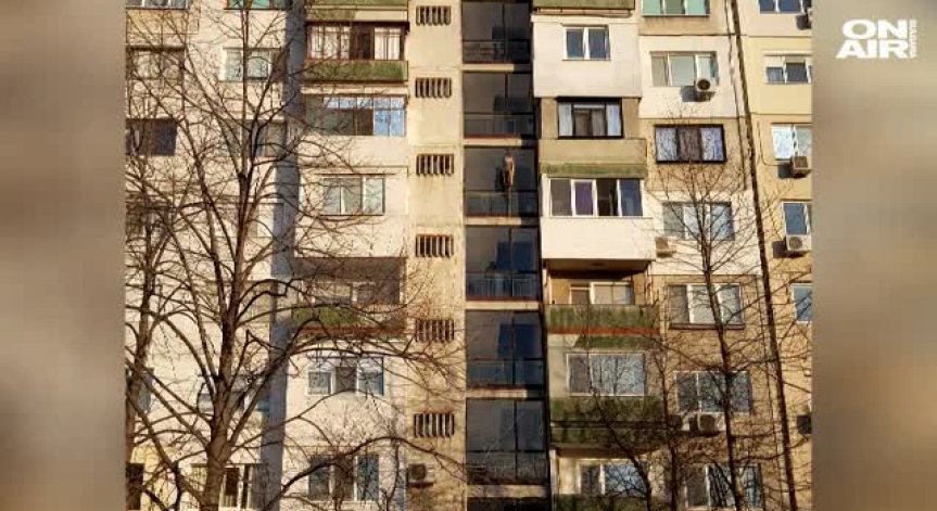 Двойно семейно убийство в Пловдив остави 1-годишно сираче