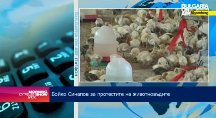 На 14 юли ще стане ясно дали животновъдите ще започнат масови протести