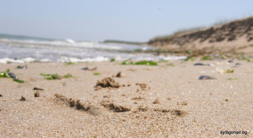 Прекратяват се процедурите за концесия на 15 плажа