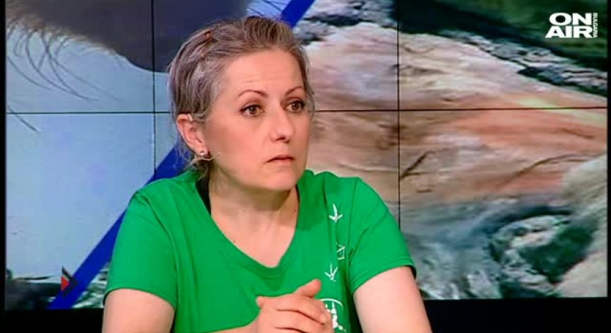 Сърничката Нели отива в зоопарк
