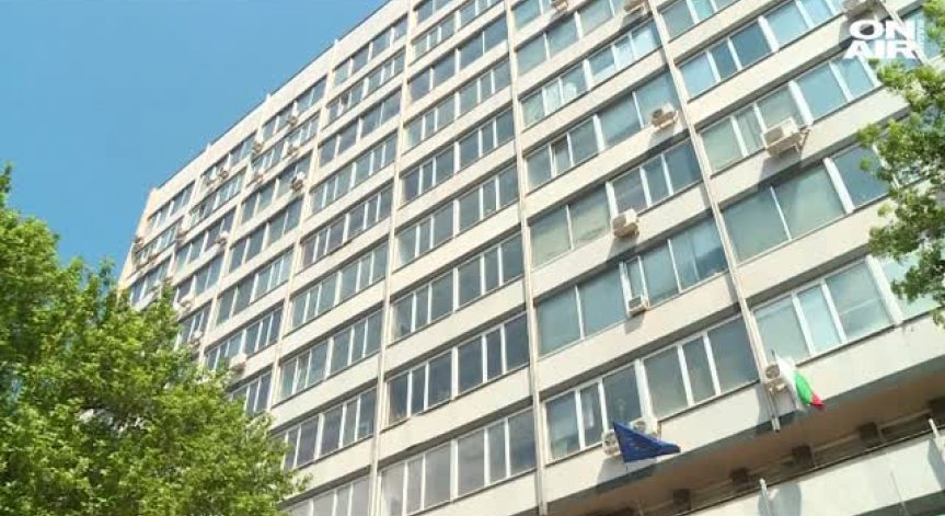 Тинка Троева е новият директор на Фонда за лечение на деца