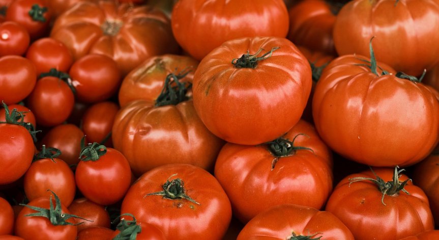Доматите поевтиняха с над 28% за седмица, маслото и млечните продукти поскъпват