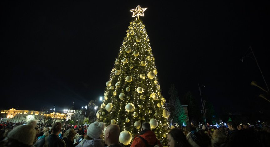 Цели 82% от вас са избрали да празнуват Коледа и Нова година в България