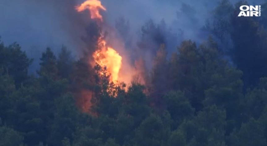 Горският пожар край Атина е овладян