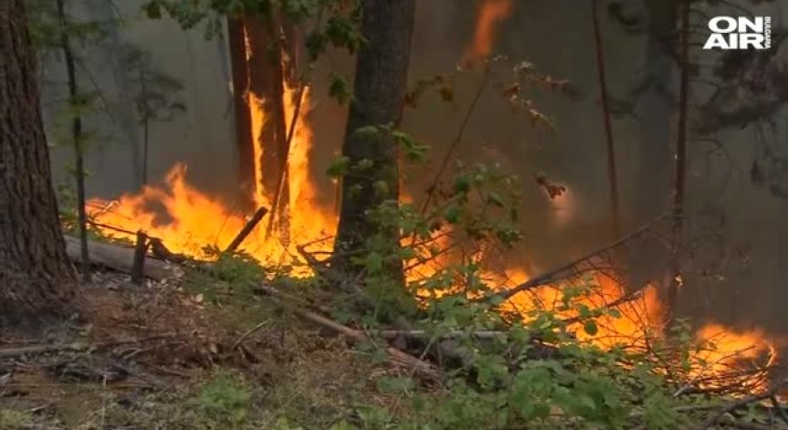 Пожарите в Калифорния стават неконтролируеми, обявено е бедствено положение