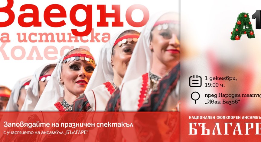 Столична община организира тържествено запалване на светлините на коледната елха със спектакъл пред Народния театър и светлинно шоу