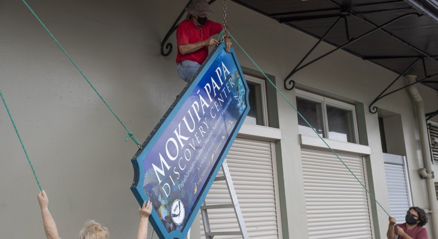 Тропическата буря 