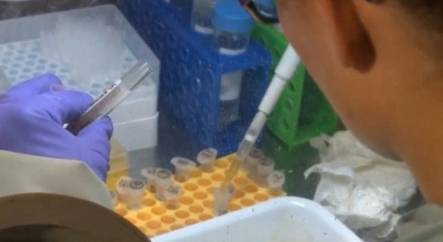 Стартира кампанията 