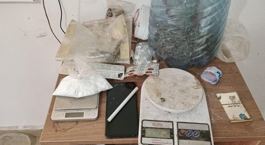 Открита е оранжерия с десетки добре развити растения.