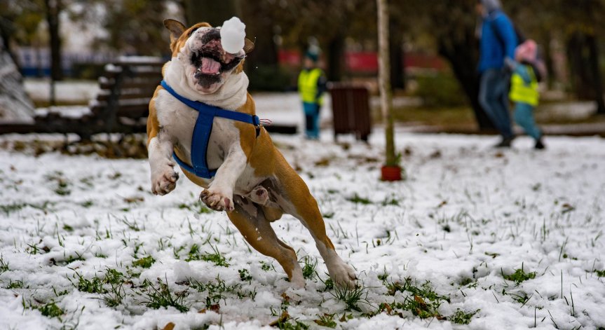 Максималните температури ще бъдат между 8° и 10°.
