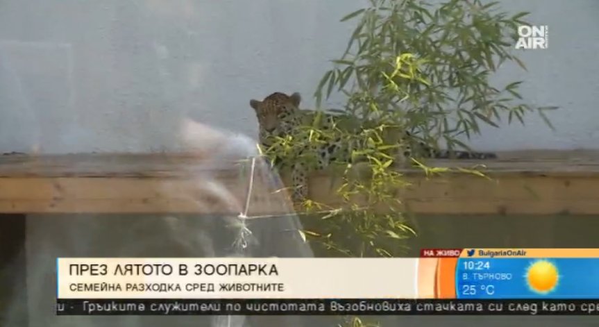 Лятна разходка в зоопарка 