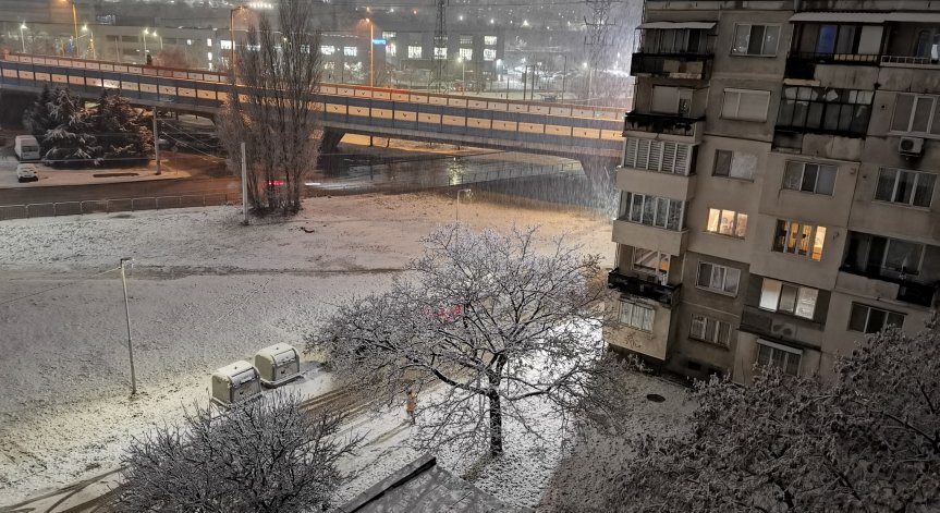 Обилен снеговалеж в София, всичко побеля за минути