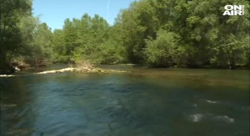 Риболовци от цялата страна излизат на протест