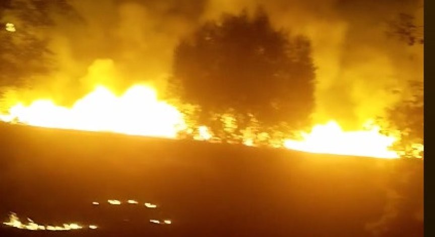 Голям пожар е избухнал снощи край Разлог, горели са сухи треви и храсти