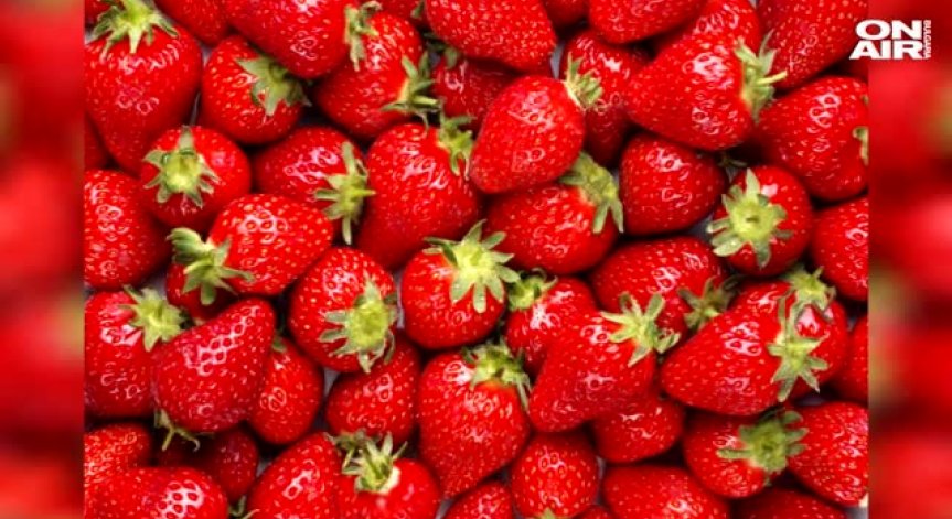 Биопроизводители готвят протест: Оплакват се от репресивна от страна на МЗХ