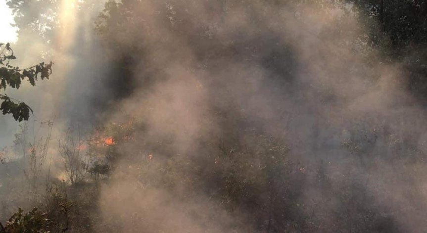 Пожар гори в близост до седмичната детска градина в Старозагорски минерални бани