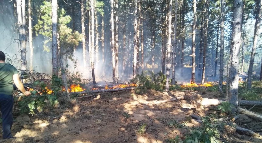Сакар планина отново е в пламъци, само ден след потушаването на големия пожар