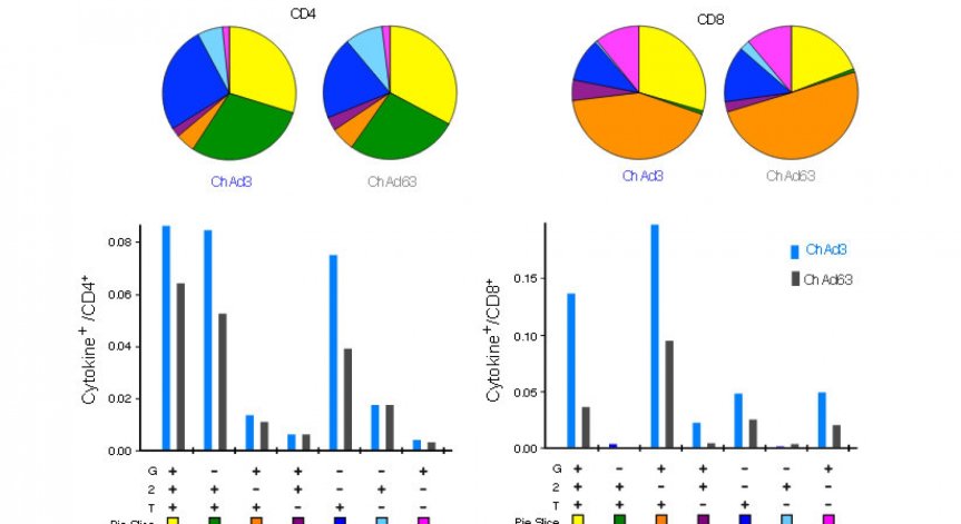 Успешен тест върху маймуни на кандидат-ваксина против ебола