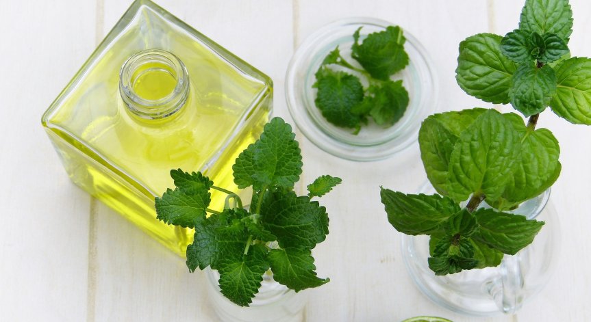 За какво е полезно маслото от мента