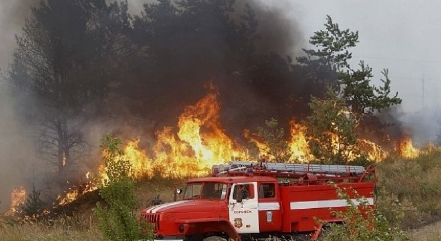 Столичната община набира доброволци за участие в спасителни мисии