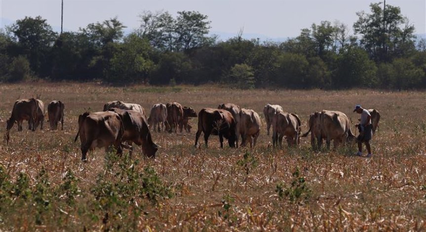 Нанесени са материални щети