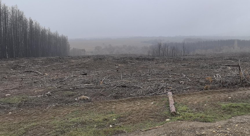 Вятърът затруднява гасенето.