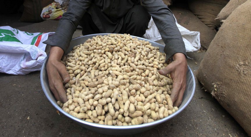 Алергията към фъстъци - откритието, което промени възгледите на учените и лекарите