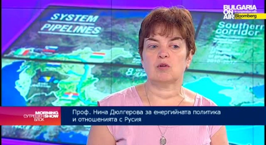 Нина Дюлгерова: В българската енергетика се води ожесточена геостратегическа борба