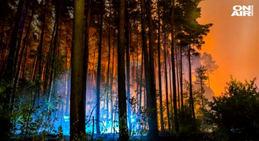 Евакуираха 600 души заради горски пожар край Берлин