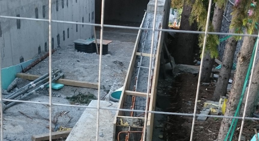 От Helpbook: Отрязаха и изкорениха почти всички дървета заради строеж