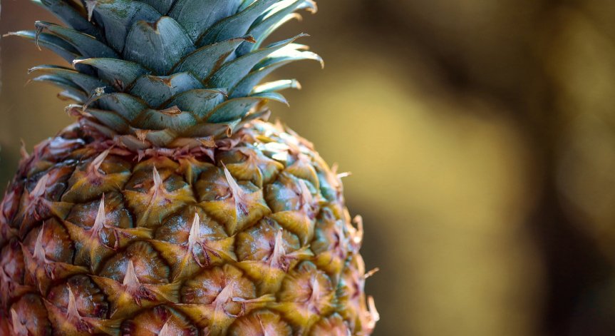 Ананасът укрепва зъбите, костите и ноктите