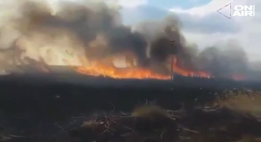 Загасиха пожара, горял край Дуранкулашкото езеро 