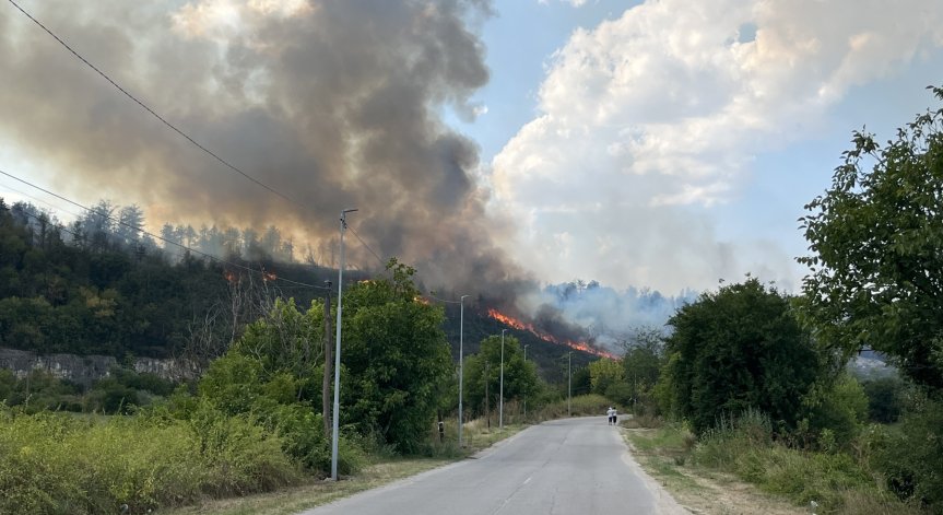 Отново се разгоря пожарът край Русе, огнеборци се борят със стихията