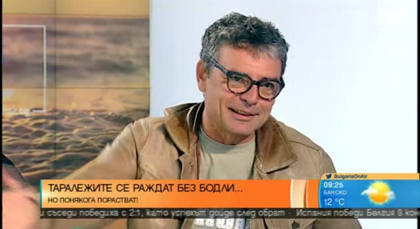 Порасналите 