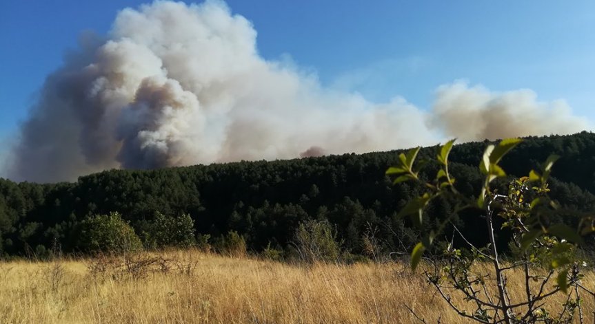 Пожарът в Кресненското дефиле затвори пътя за Гърция