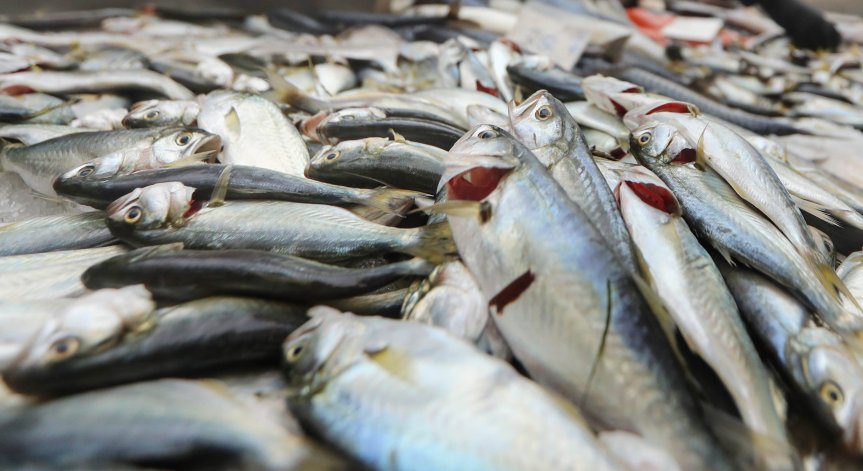 Изяждаш риба от река или езеро - все едно цял месец си пил вода с токсични химикали