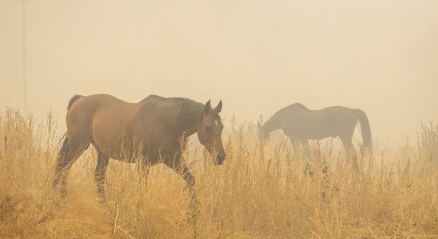 Огънят в САЩ продължава да унищожава градове, хиляди са без ток