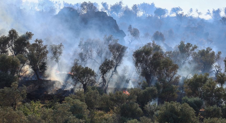 Огненият Ад в Гърция продължава: Пожарникари се мъчат да овладеят пламъците