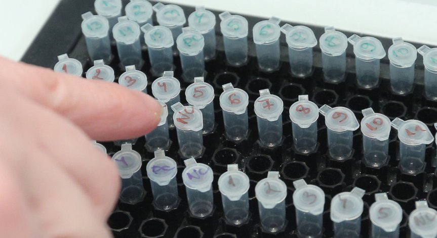 3% положителни проби за коронавирус и трима починали за денонощието