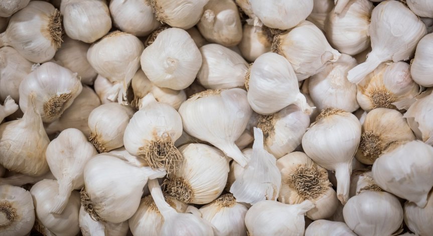 Чесънът съдържа микроелементи, които ни предпазват от Ковид-19